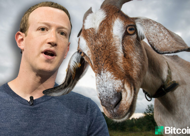 Mark Zuckerberg’s Goat, “Bitcoin”, Ignites Conspiracy Theories – Bitcoin News