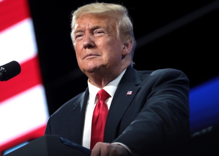 Trump: Bitcoin, It Just Seems Like a Scam