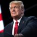 Trump: Bitcoin, It Just Seems Like a Scam