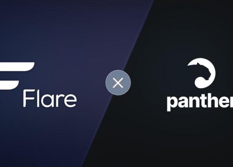 Panther Protocol Brings Privacy And Confidentiality To Flare Network