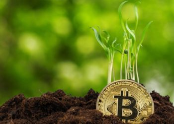 Investors Need to Accept the Trajectory and Level of Volatility in Bitcoin, Says SkyBridge Capital Founder