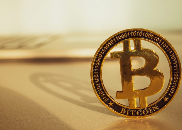 Bitcoin Whales Are Accumulating Behind The Scenes Adding 50,000 BTC to Their Wallets