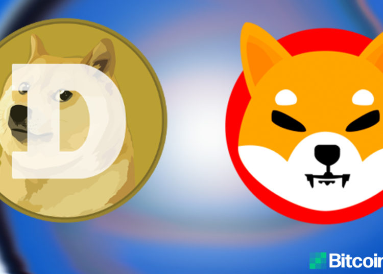 SHIB vs. DOGE – Who Is the Top Dog in Crypto Land? – Altcoins Bitcoin News