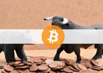 Is Bear Market Confirmed? Industry Experts Weigh In