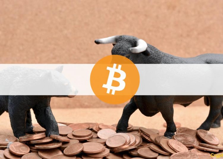 Is Bear Market Confirmed? Industry Experts Weigh In