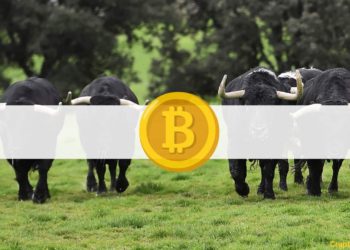 4 Reasons to Be Bullish as Bitcoin Breaks Back Above $40K