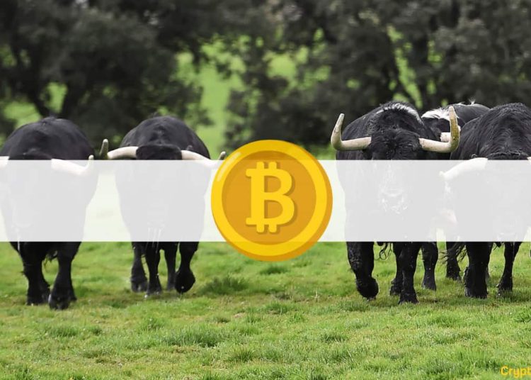 4 Reasons to Be Bullish as Bitcoin Breaks Back Above $40K