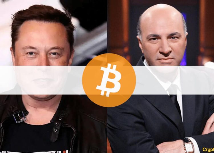 Elon Musk Was Pressured by Tesla’s Shareholders to Drop Bitcoin Payments, Says Kevin O’Leary