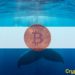 Bitcoin Whales Unfazed by the Elon Musk-Induced Volatility And Keep Buying