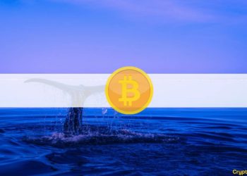 $30K Breakdown or Short Squeeze Incoming?