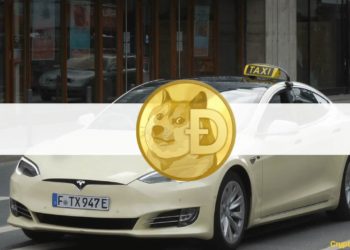 Elon Musk Inspired a German Tesla Taxi Company to Enable Dogecoin Payments