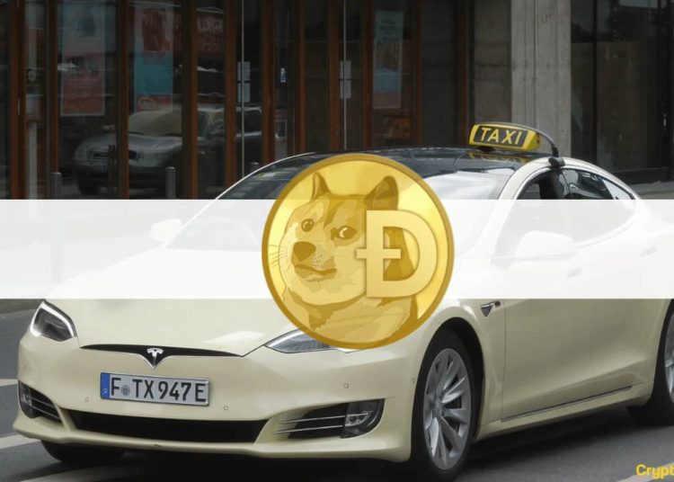 Elon Musk Inspired a German Tesla Taxi Company to Enable Dogecoin Payments
