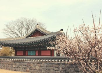 South Korean Exchanges Delist More Altcoins to Meet Banking Requirements