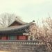 South Korean Exchanges Delist More Altcoins to Meet Banking Requirements