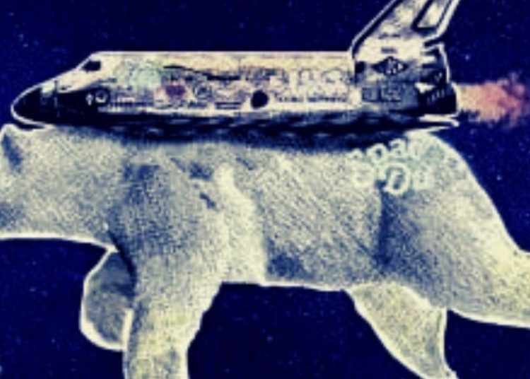 Auction for AGA Finance Powered Green NFT Goes Live