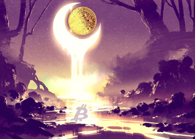 Investing in Only Bitcoin Is Like Buying Only Yahoo in the 90s, per Pantera CEO – Here Are the Fund’s Returns From Altcoins