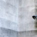 Phillips Auction House To Accept Cryptocurrency For Banksy Artwork