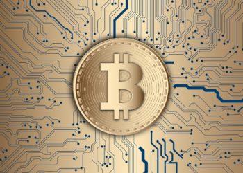 Bitcoin Mining Council says Elon Musk has no role within the group.