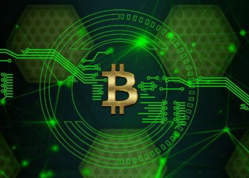 Tesla CEO Elon Musk may have a bigger plan for Bitcoin