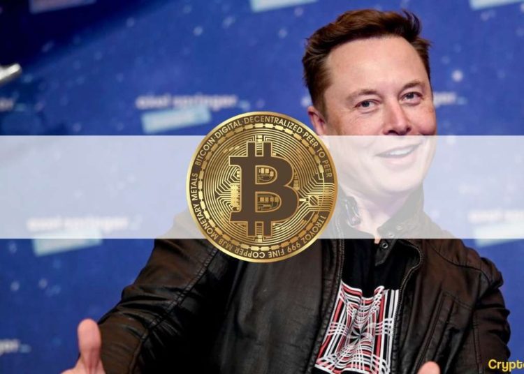 Elon Musk Killed Bitcoin’s Bullish Week: The Crypto Weekly Recap