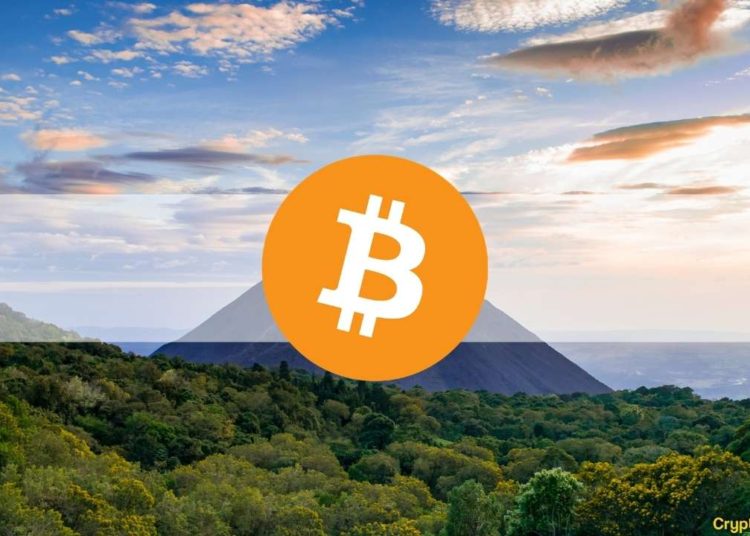 Bitcoin Listed as El Salvador’s Currency on Wikipedia