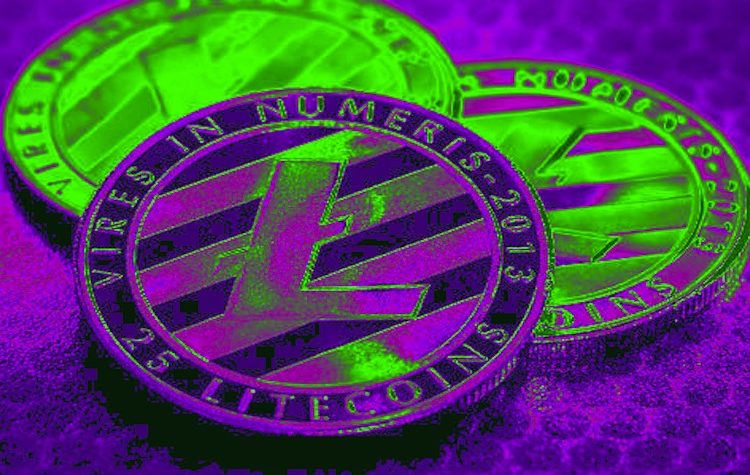 US Government Auctions Off Litecoin and Bitcoin Cash Seized From Tax Evader