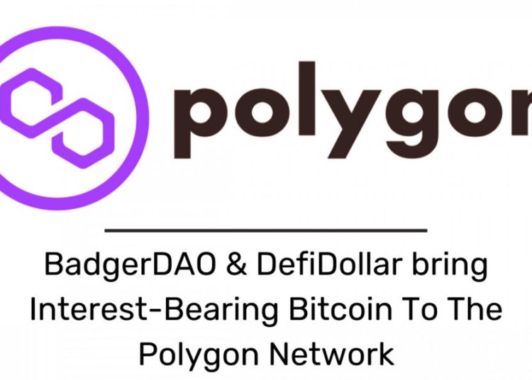 BadgerDAO & DefiDollar bring Interest-Bearing Bitcoin To The Polygon Network