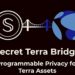 Secret Terra Bridge To Provide Programmable Privacy And DeFi Opportunities