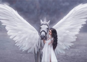 Europe Raises 20 Unicorns This Year Including Crypto Companies – News Bitcoin News