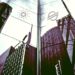 Institutional Money Moving to Cardano and Stellar As Bitcoin and Ethereum Take a Breather: CoinShares