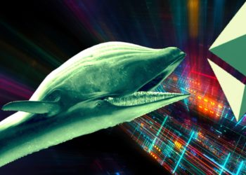 Bitcoin Whale Details Crypto Game Plan, Says He’s Loading Up on One Altcoin and Rotating Profits to Ethereum