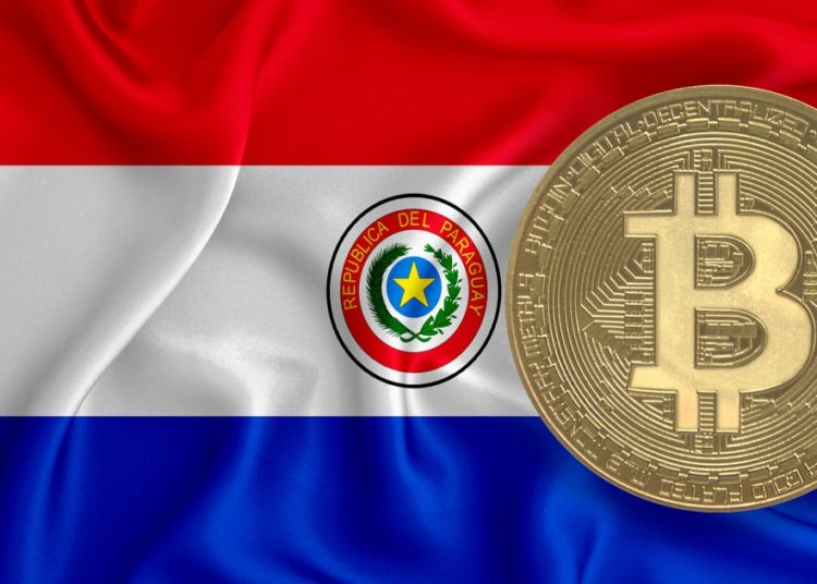 Paraguayan Congressmen Propose New Bitcoin Bill