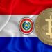 Paraguayan Congressmen Propose New Bitcoin Bill