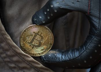 Former-Cryptopia Employee Pleads Guilty Stealing Over $171K in Crypto