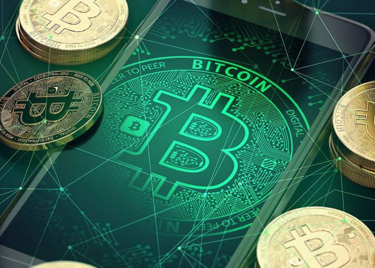 Bitcoin Investors Owning Coins Aged Between Two and Five Years Hold Over 22.9% of BTC Supply