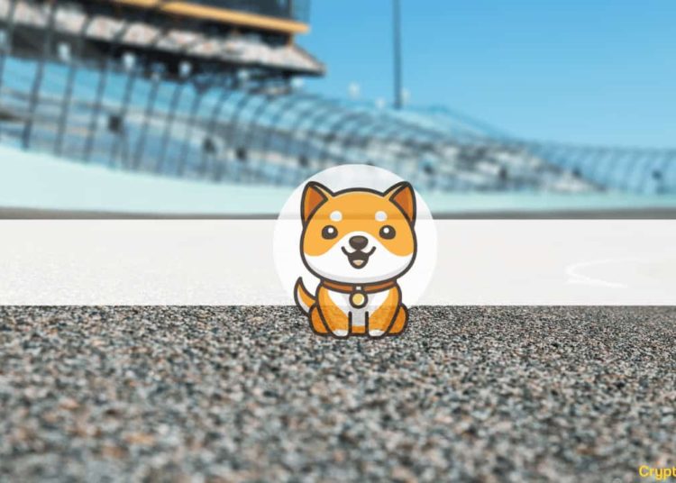 Baby Doge Coin Will Appear on NASCAR Xfinity Series
