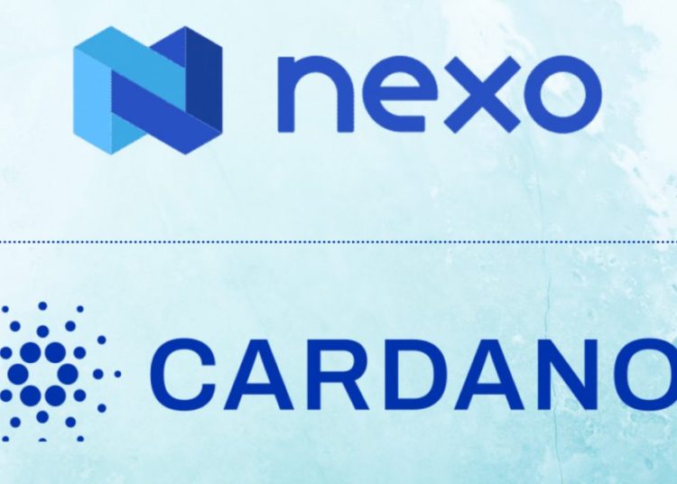 Nexo Initiates Cardano Integration with Exchange, Borrow & Earn for ADA
