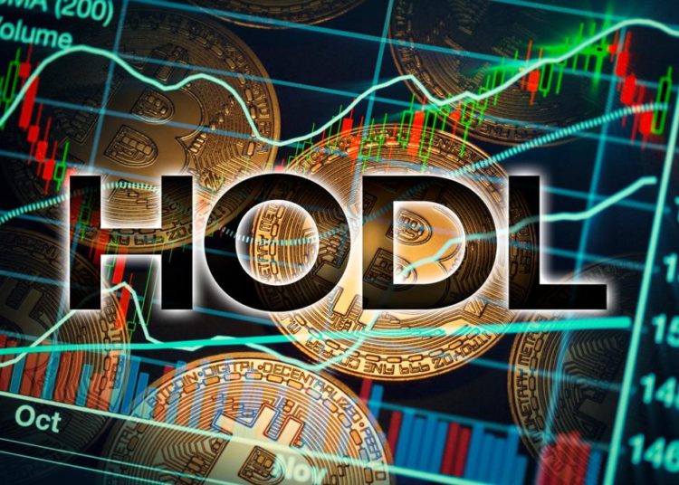 South Korea’s crypto crackdown is looming, but crypto traders HODL on