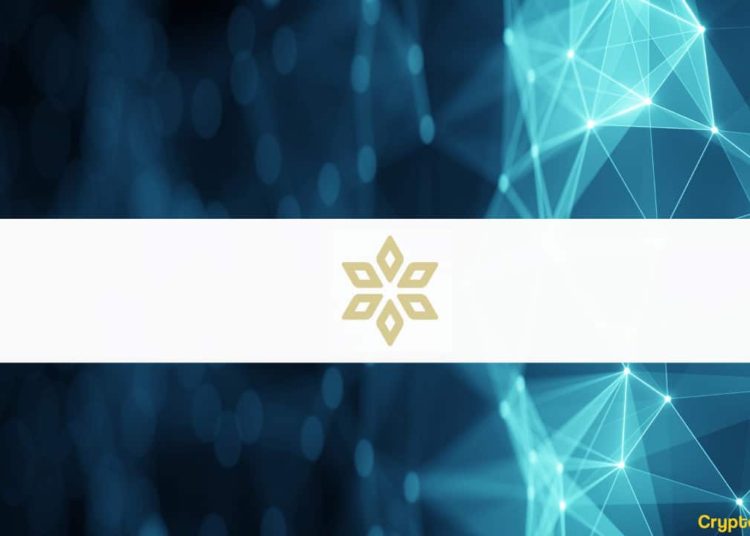 Cardano DeFi Project Spores Raises $2.3 Million in Funding Round