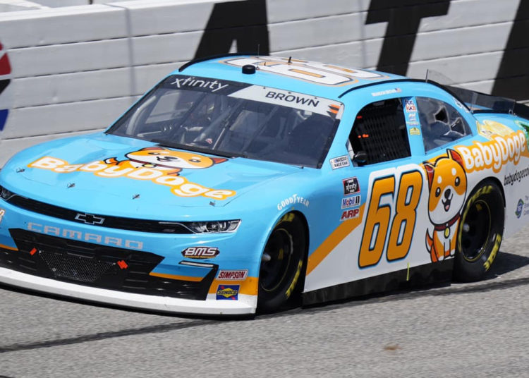 Baby Doge Sheds Over 40% This Week Despite NASCAR Debut and Animal Shelter Donation – Markets and Prices Bitcoin News