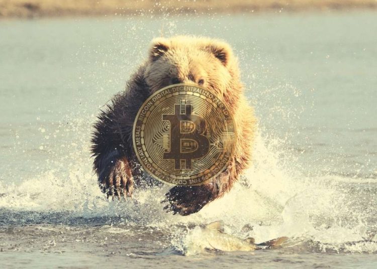 Crypto Markets Lost Another $100B (Market Watch)