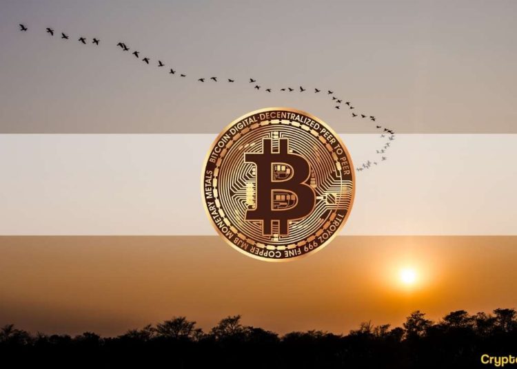 Bitcoin’s Back to $40K, Millions of Shorts Liquidated: The Weekly Crypto Recap