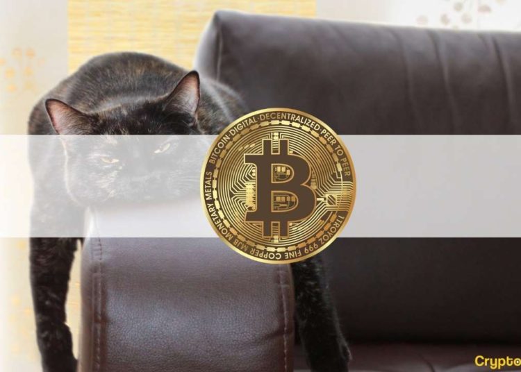 Volume & Interest Decrease as Bitcoin Still Amid $30K: The Weekly Crypto Recap