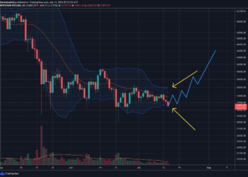 Signs of Whales Accumulation, But Where is Bitcoin Potentially Heading If $30K Breaks? (BTC Price Analysis)