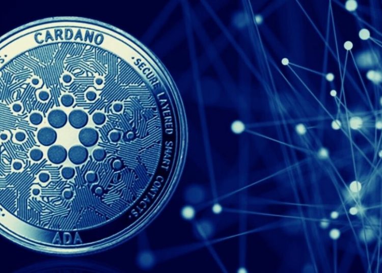 cFund to Drive Cardano Adoption?