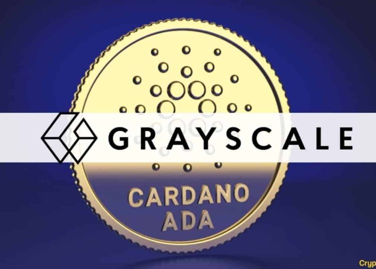 ADA is Now The Fund’s Third-Largest Holding