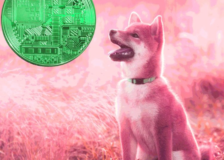 Robinhood Says Dogecoin Generating Huge Portion of Crypto Revenue, Issues Warning on Market Volatility