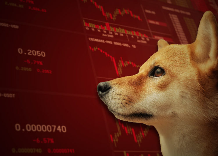 Dogecoin, Shiba Inu coin lead losses as crypto volume dumped 43% in June