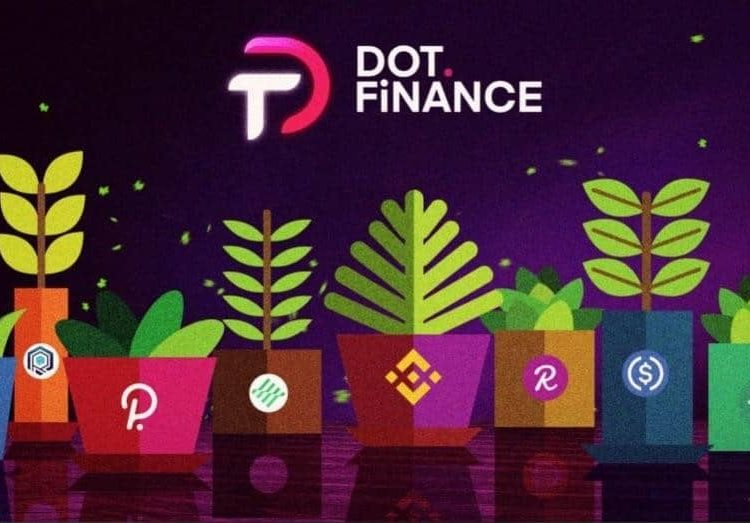 DotFinance Gets Listed On MXC As Team Announces New Maximizers And Staking Pool