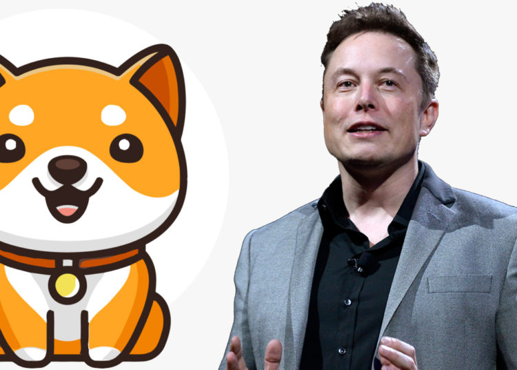 Elon Musk Tweet Sends New Baby Doge Coin Soaring — Meme Token’s Daily Gains Jump 228% – Bitcoin News